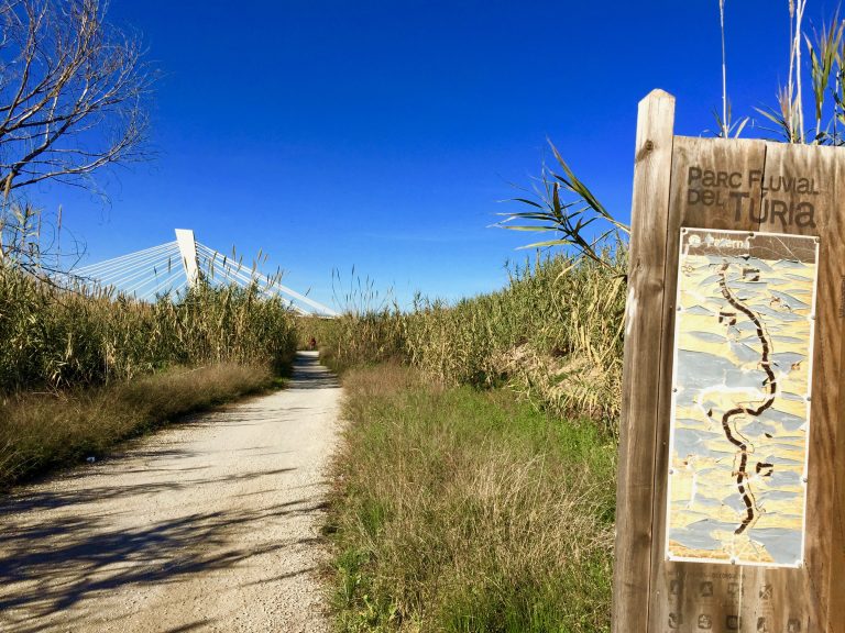 el cauce del rio Turia