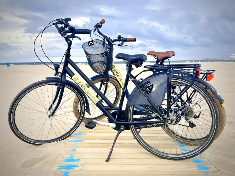 Alquiler de bicicleta y bicicleta eléctrica